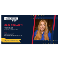 Great British Entrepreneur Awards