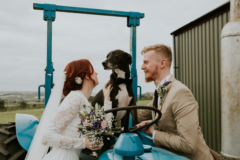 farm wedding animals