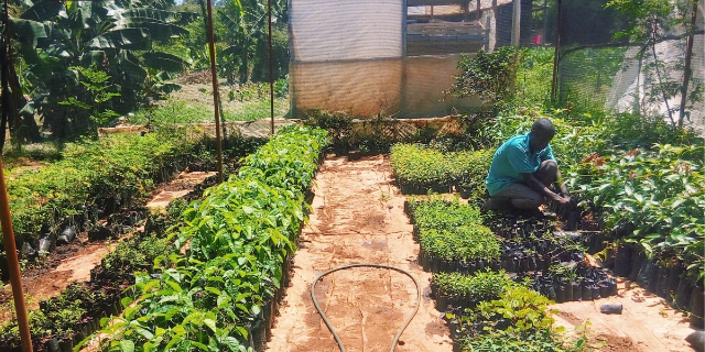 b1g1-impact4